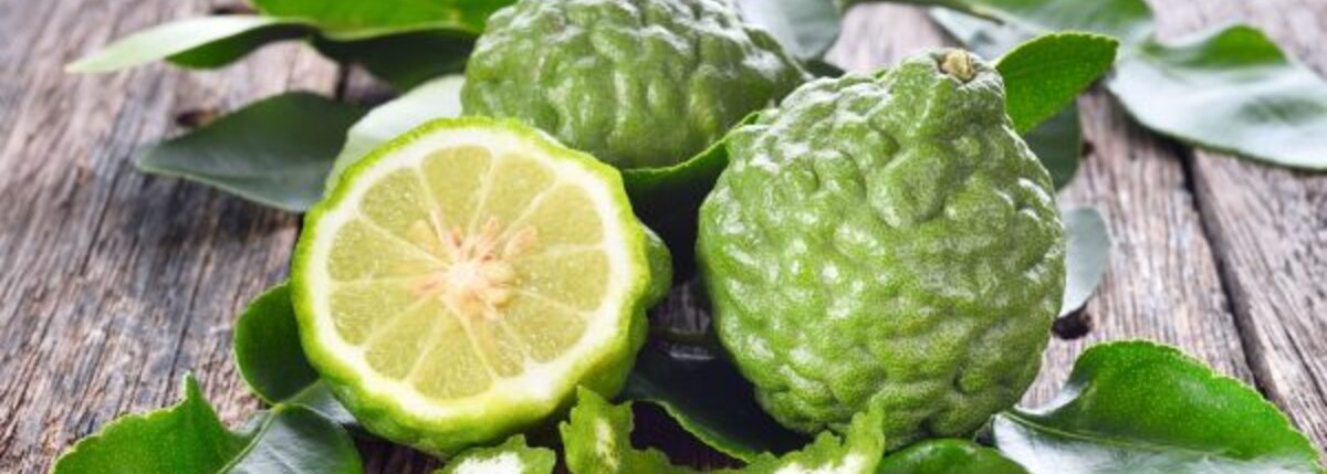 Bergamot – výnimočný citrus s jedinečnou chuťou