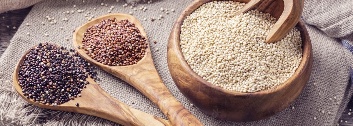 Quinoa zdravá potravina s potenciálom znižovania hladu vo svete