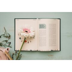 Literatúra Literatúra