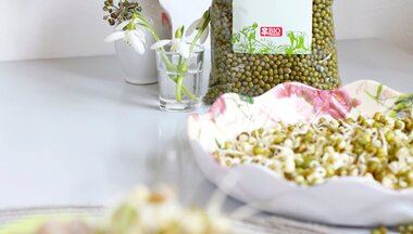 🌱 Nakličujte doma! Malé semienka s obrovskou silou.