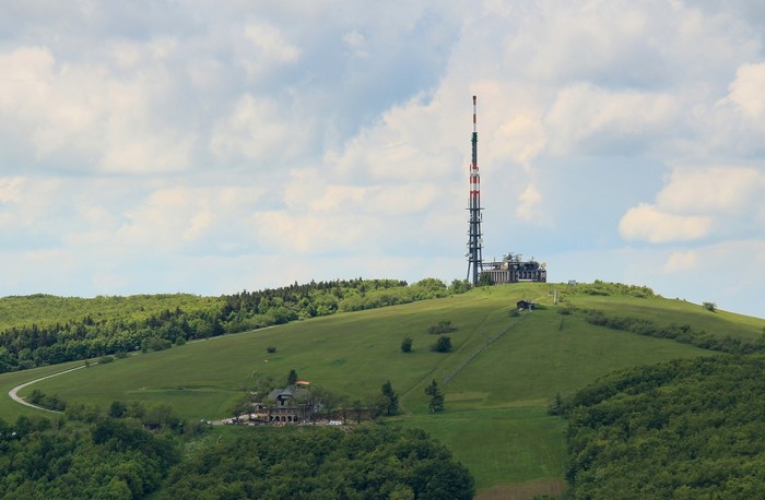 Celozávodná dovolenka